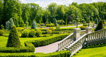 austrimtreeservices-img