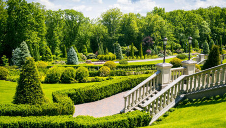 landscap-7263 austrimtreeservices-img