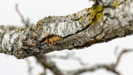 blog-413766 blog